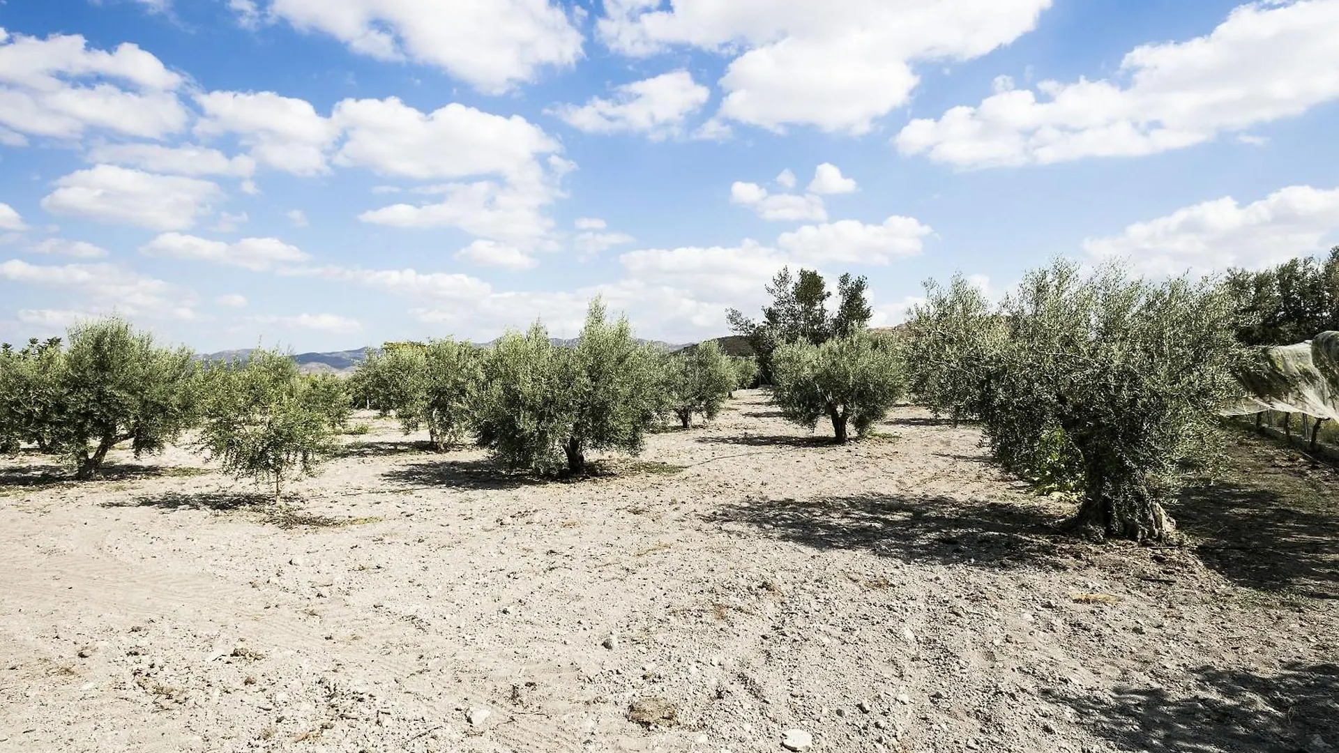 Holiday home Luderna - Casa El Enebro Del Cercado De Velez Villa Velez Blanco Spain