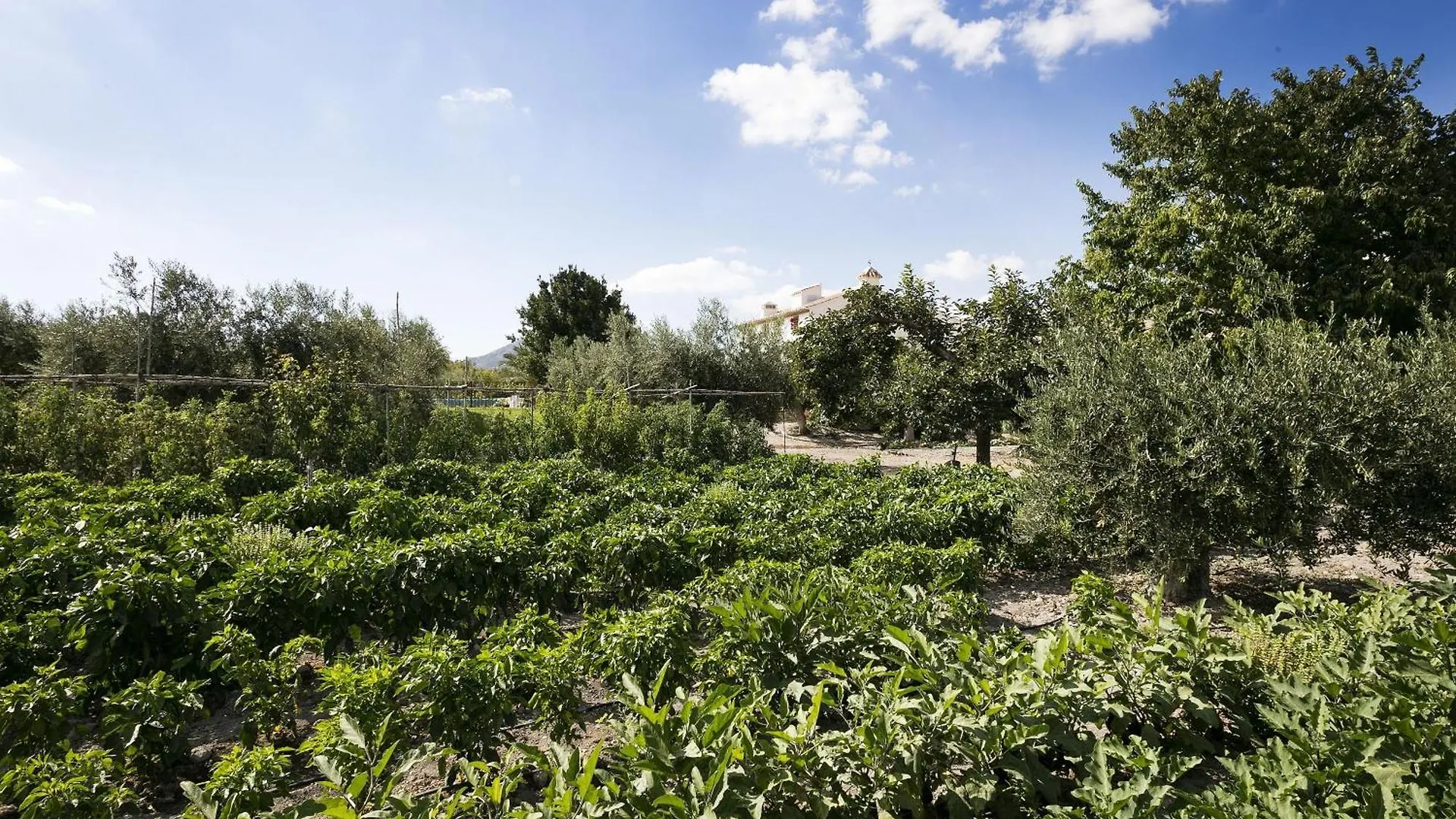 Holiday home Luderna - Casa El Enebro Del Cercado De Velez Villa Velez Blanco